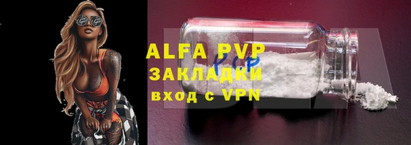дживик Осинники