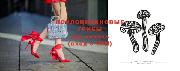 дживик Осинники