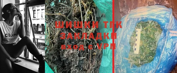 дживик Осинники