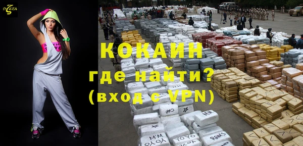 дживик Осинники