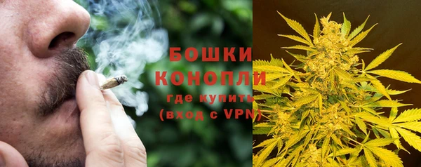 дживик Осинники