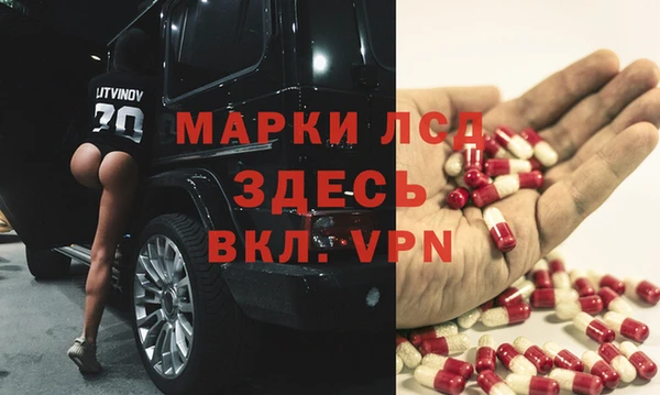 ГАЛЛЮЦИНОГЕННЫЕ ГРИБЫ Галич