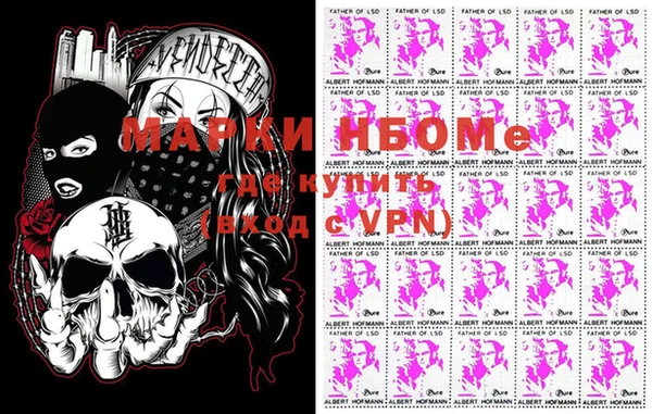 ГАЛЛЮЦИНОГЕННЫЕ ГРИБЫ Галич